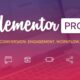 Elementor Pro -WordPress - ElementorPro